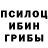 Галлюциногенные грибы GOLDEN TEACHER Loneliness