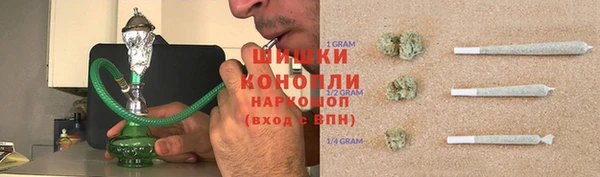 дживик Бронницы