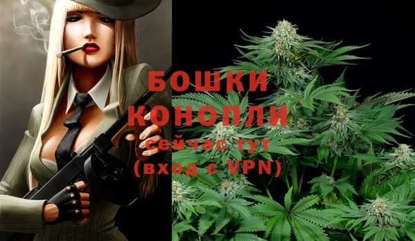 дживик Бронницы