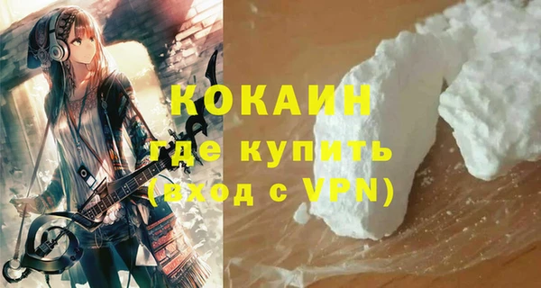 дживик Бронницы