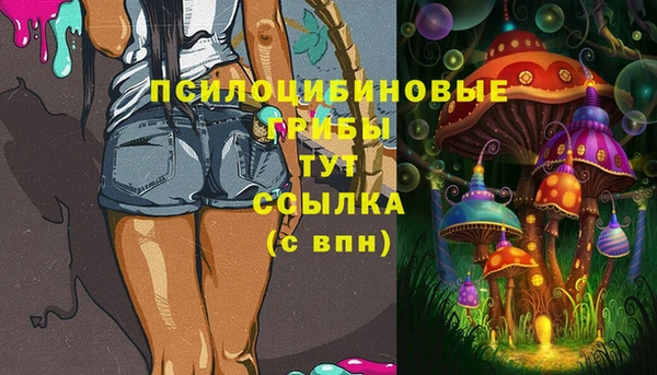 дживик Бронницы