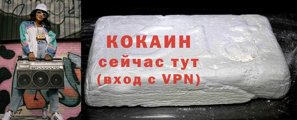 дживик Бронницы